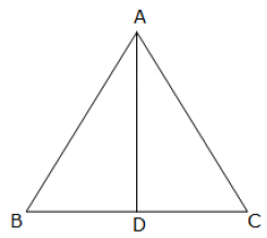 Pythagoras Theorem 13
