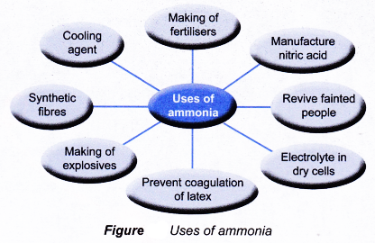 Uses of ammonia in our daily life 1