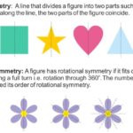 What Shape has only One Line of Symmetry 1