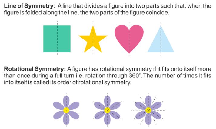 What Shape has only One Line of Symmetry 1