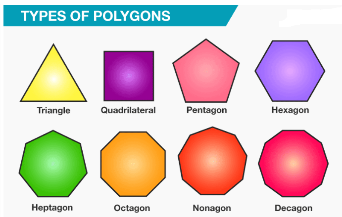 What are the Different Types of Polygons 2