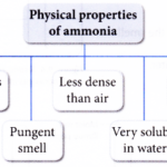 What are the physical properties of ammonia 1