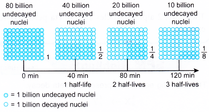 half life of a radioactive element 1