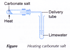 Action of Heat on Salts 3