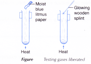 Action of Heat on Salts 5