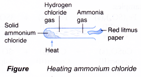 Action of Heat on Salts 7