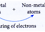 Chemical Bonding and Compound Formation 1