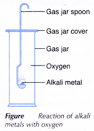 Physical and Chemical Properties of Group 1 Elements 12