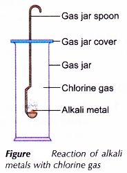 Physical and Chemical Properties of Group 1 Elements 15