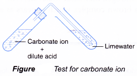 Test for Cations and Anions in Aqueous Solutions 1