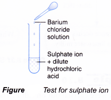 Test for Cations and Anions in Aqueous Solutions 3