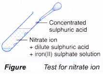 Test for Cations and Anions in Aqueous Solutions 4