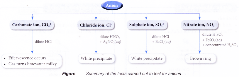 Test for Cations and Anions in Aqueous Solutions 5