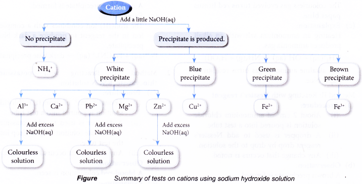 Test for Cations and Anions in Aqueous Solutions 8