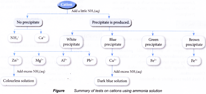 Test for Cations and Anions in Aqueous Solutions 9