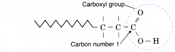 How are carboxylic acids formed 2