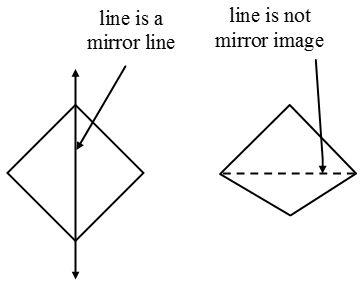 How do you find Lines of Symmetry 2
