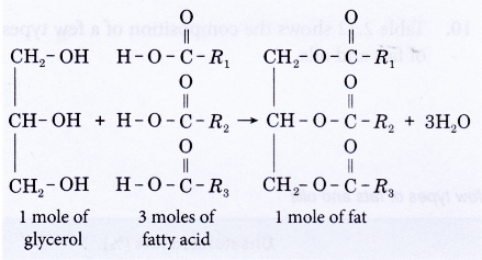 What are fats and oils 3
