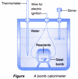 heat of combustion lab report