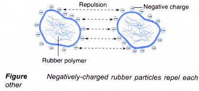 Which Is Used For Coagulating Rubber From Latex