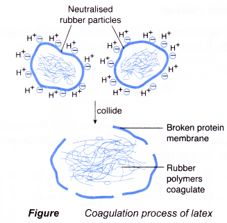 Formic Acid For Rubber Coagulation