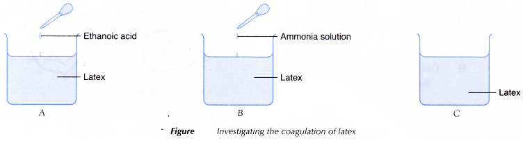 How Does Latex Coagulate