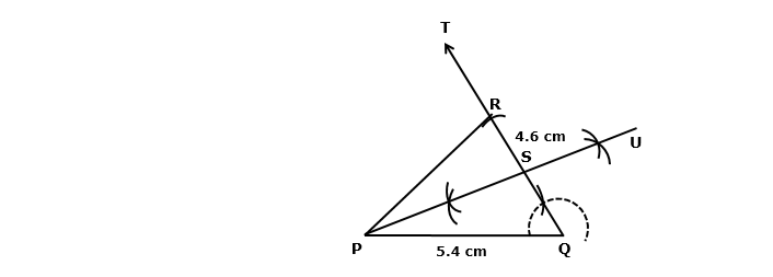 Frank ICSE Solutions for Class 9 Maths Constructions of Triangles Ex 14.1 47