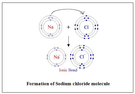 Selina ICSE Solutions for Class 9 Chemistry - Atomic Structure image - 7
