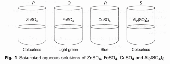 CBSE Class 10 Science Lab Manual – Reactivity Series 2
