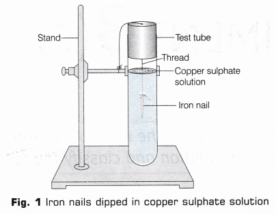 CBSE Class 10 Science Lab Manual – Types of Reactions 15
