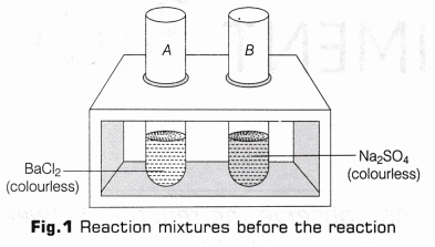 CBSE Class 10 Science Lab Manual – Types of Reactions 20