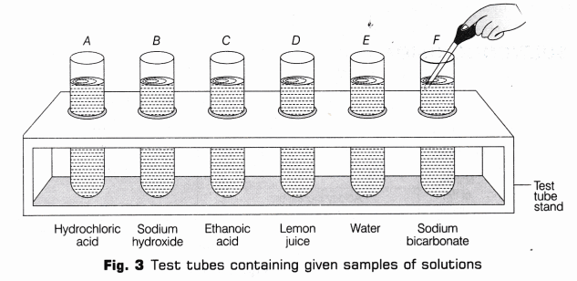 CBSE Class 10 Science Lab Manual – pH of Samples 3