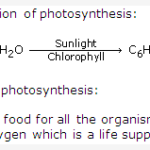 Frank ICSE Class 10 Biology Solutions - Photosynthesis 1