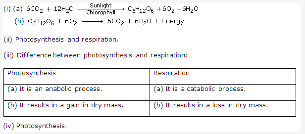 Frank ICSE Class 10 Biology Solutions - Photosynthesis 9