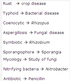 Frank ICSE Solutions for Class 9 Biology - Bacteria and Fungi Their ...
