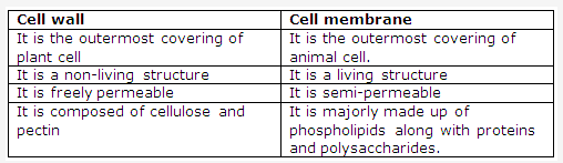 Frank ICSE Solutions for Class 9 Biology - Being Alive - The Cell- A unit of Life 1