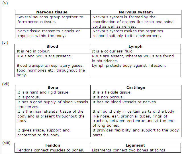 Frank ICSE Solutions for Class 9 Biology - Being Alive - Tissues 3