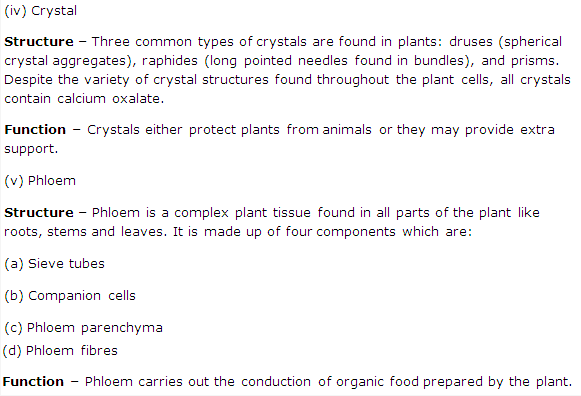 Frank ICSE Solutions for Class 9 Biology - Being Alive - Tissues 6