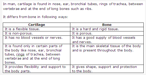 Frank ICSE Solutions for Class 9 Biology - Being Alive - Tissues 8