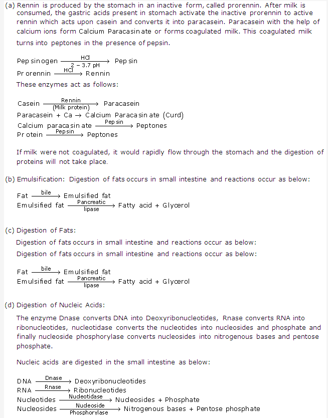 Frank ICSE Solutions for Class 9 Biology - Digestive System 6