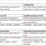 Frank ICSE Solutions for Class 9 Biology - Seeds Structure and Germination 1