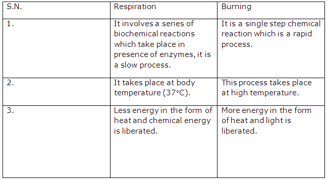 Frank ICSE Solutions for Class 9 Chemistry - Physical and chemical changes 8