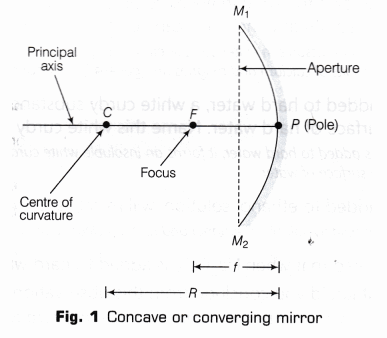 Cbse Class 10 Science Lab Manual, Why Will A Diverging Mirror Never Produce Real Image