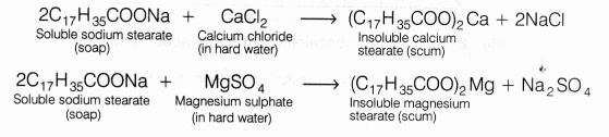 CBSE Class 10 Science Lab Manual – Cleaning Capacity of Soap in Hard and Soft Water 1