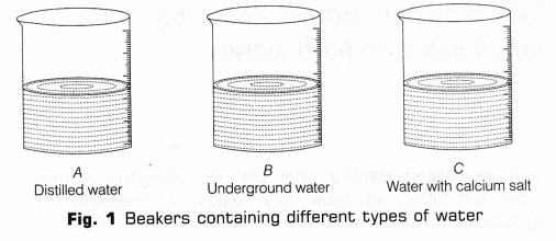 CBSE Class 10 Science Lab Manual – Cleaning Capacity of Soap in Hard and Soft Water 2