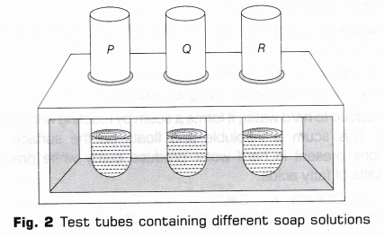 CBSE Class 10 Science Lab Manual – Cleaning Capacity of Soap in Hard and Soft Water 3