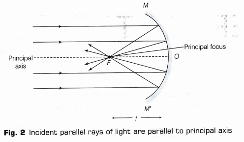 CBSE Class 10 Science Lab Manual – Focal Length of Concave Mirror and Convex Lens 2
