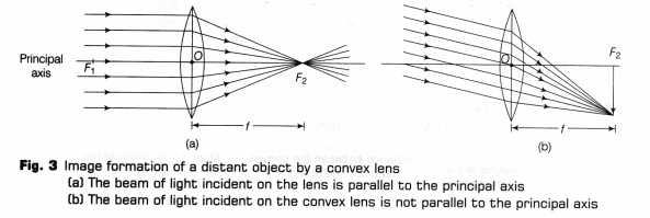 CBSE Class 10 Science Lab Manual – Focal Length of Concave Mirror and Convex Lens 8