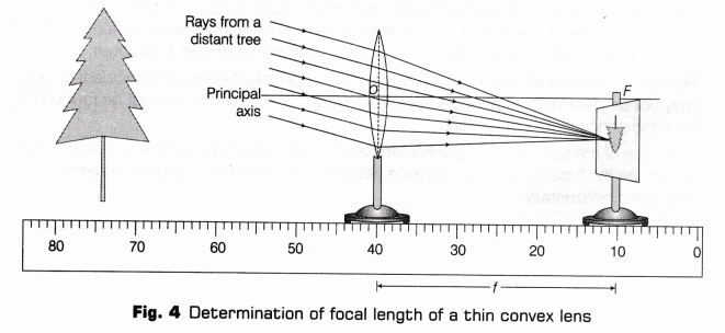 CBSE Class 10 Science Lab Manual – Focal Length of Concave Mirror and Convex Lens 9