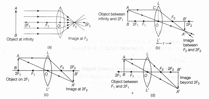 CBSE Class 10 Science Lab Manual – Image Formation by a Convex Lens 10